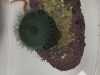 IMG-20250705-WA0023