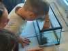 IMG-20250705-WA0027