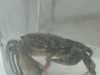 IMG-20250705-WA0047