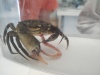 IMG_20250704_111339553