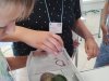 IMG_20250704_113301277