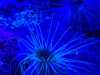 IMG-20250705-WA0007