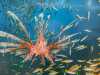 IMG-20250705-WA0032