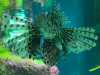 IMG-20250705-WA0035