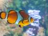 IMG-20250705-WA0045