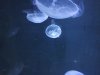 IMG_20250704_134141487