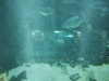 IMG_20250704_135623421