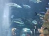 IMG_20250704_135650619