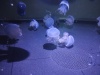 IMG_20250704_140519505