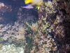 IMG_20250704_141732184