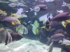 IMG_20250704_141922453
