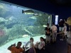 IMG_5680