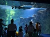 IMG_5684