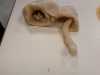 IMG-20240109-WA0005
