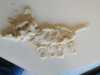 IMG-20240109-WA0007