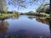 IMG_20240412_124354461_HDR