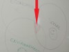 Consom_acteurs-6