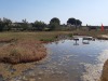 les-salines-2