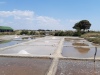 les-salines-36