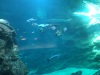 UNADJUSTEDNONRAW_thumb_af1