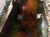 UNADJUSTEDNONRAW_thumb_b29